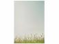 Preview: Spring Flowers Stationery  Writing paper